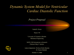 Dynamic System Model for Ventricular Cardiac Diastolic