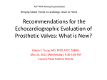 Recommendations for the Evaluation of Prosthetic Valves