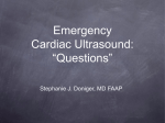 Emergency Cardiac Ultrasound: “Questions”
