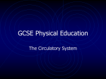 GCSE Physical Education