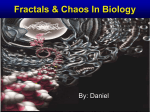 Fractals & Chaos In B
