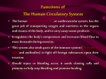 Functions of The Human Circulatory System