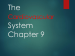The Cardiovascular System Chapter 9