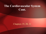 Circulatory System - Central High School