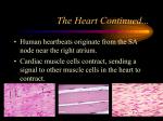 The Heart Continued