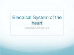 Electrical System of the heart