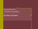 Hypertrophic Cardiomyopathy