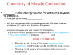 Chemistry of Muscle Contraction