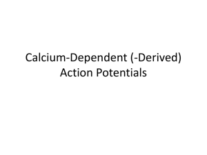 9Calcium AP