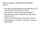 Heart Functions: the MEA and the Frank Starling Law of the heart 2/14