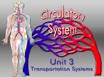 The RESPIRATORY System