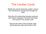 The Cardiac Cycle - The Grange School Blogs