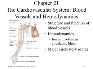 Chapter 21: Immune System