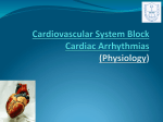 Causes of Cardiac Arrhythmias