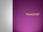 Transport IRP