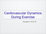 Cardiovascular Dynamics During Exercise - e