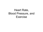 Heart Rate, Blood Pressure, and Exercise