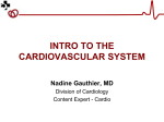INTRO TO THE CARDIOVASCULAR SYSTEM UNIT 1