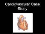 Cardiovascular System