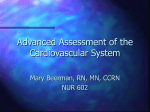 Assessment of the Cardiovascular System