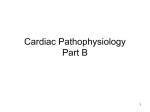 Cardiac Pathophysiology B