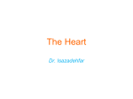 The Heart