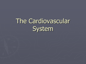 The Cardiovascular System