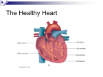 An Invitation to Health Chapter 14 Keeping Your Heart Healthy