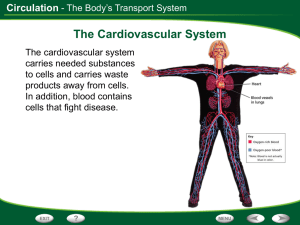 Circulation - TeacherWeb