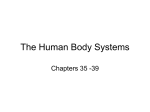 The Human Body Systems