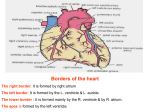 17- interior of heart