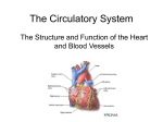 SBI3U_04_09_Circulatory_System