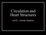 Circulation and Heart Structures