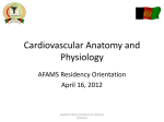 Day 18 Cardiovascular Anatomy and Physiology