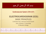electrocardiogram (ecg)