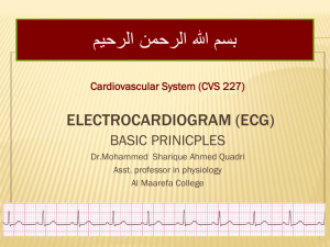 electrocardiogram (ecg)