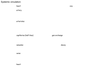 2circulatoryHeart
