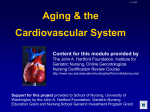 Normal Cardiovascular Changes