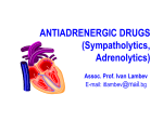 Adrenolytics