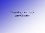 04-Basic bioreology and gemodinamics