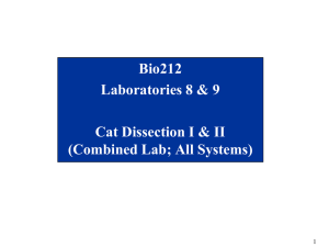 B212Lab8_9_Comb