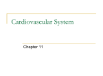Cardiovascular_System - walker2015