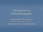 Introduction to Echocardiography