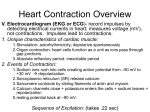 V. Electrocardiogram (EKG or ECG