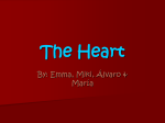 The Heart - hiscience
