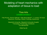 Quantification of transmural differences in myocardial function with