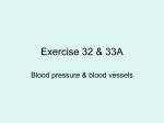 Exercises 32 & 33A