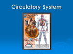 Chapter 6 Circulatory System