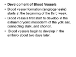 FETAL CIRCULATION