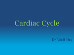 Cardiac Cycle